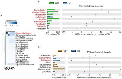 Frontiers | Metagenomic Insights Into The Functions Of Microbial ...